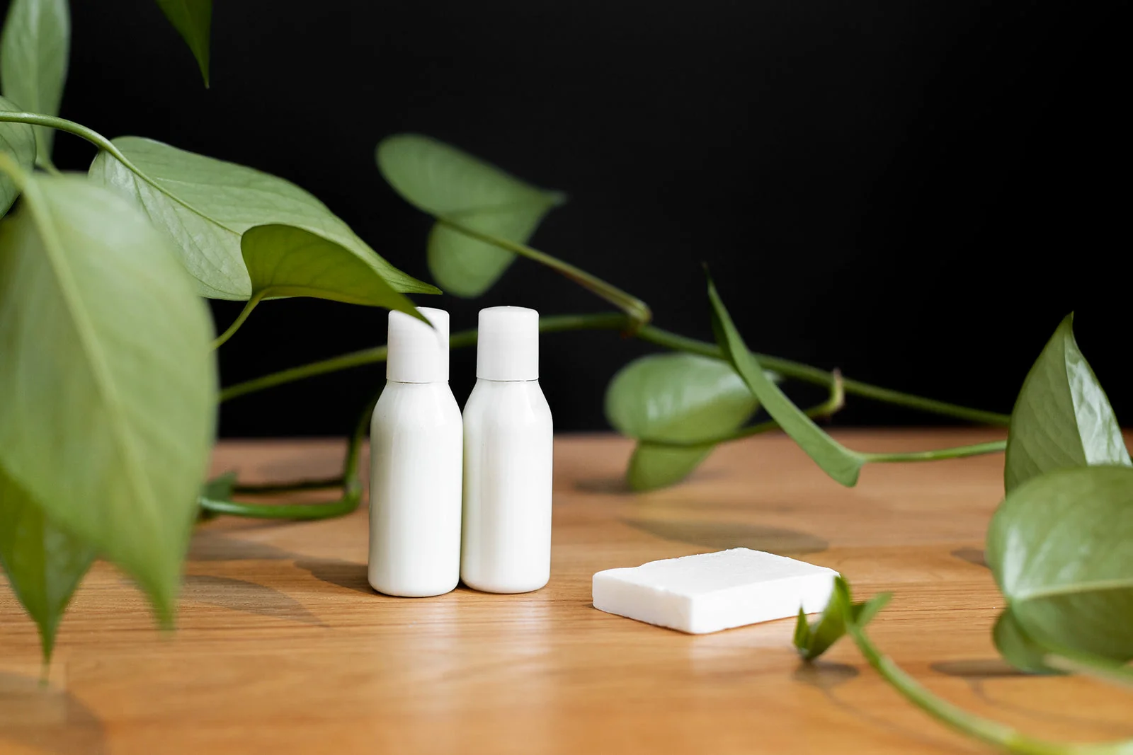 White bottles and a soap bar on a wooden shelf among leaves