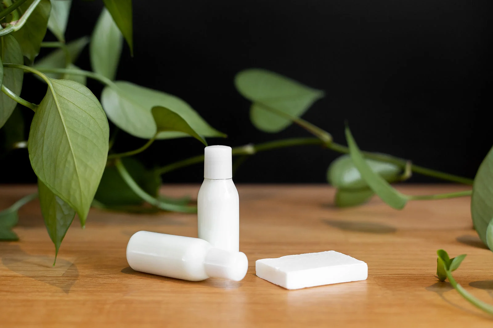 Bottles and a bar of soap