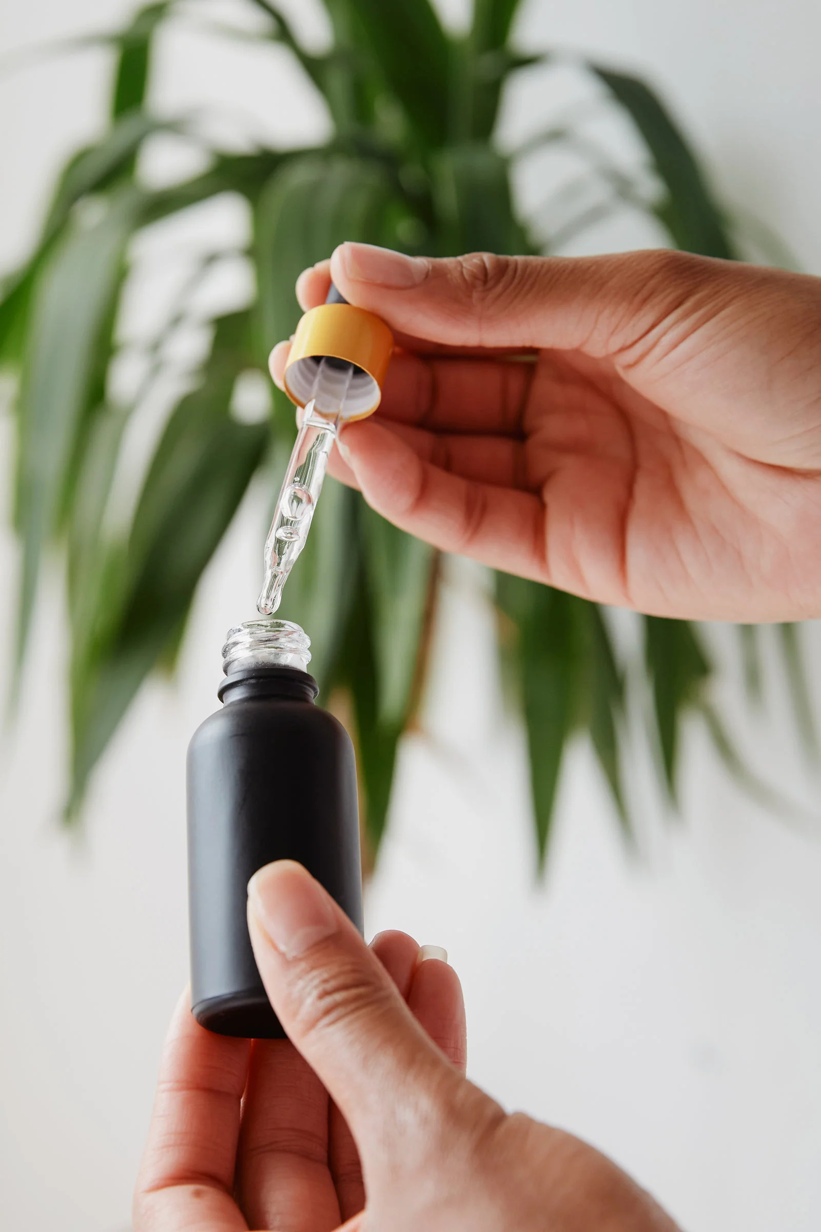 Hands holding a black dropper bottle
